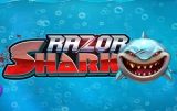 Razor Shark Spielautomat